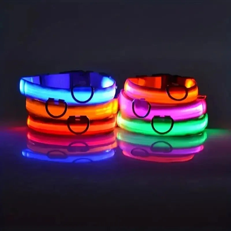 Guinzaglio LED LUMINOSO