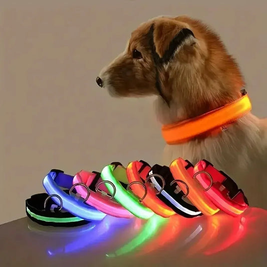 Guinzaglio LED LUMINOSO