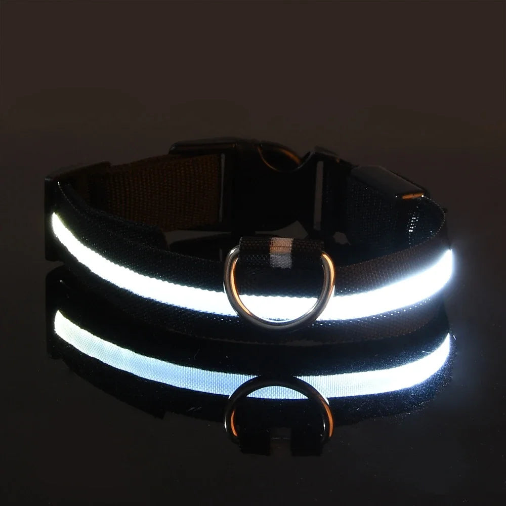 Guinzaglio LED LUMINOSO