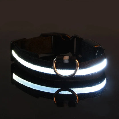 Guinzaglio LED LUMINOSO