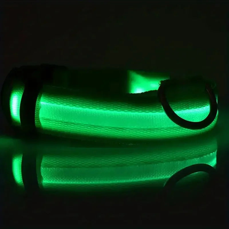 Guinzaglio LED LUMINOSO