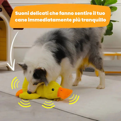 Puppy Quack