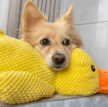 Puppy Quack