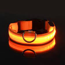 Guinzaglio LED LUMINOSO