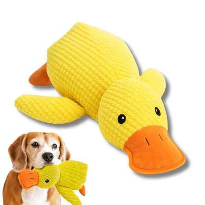 Puppy Quack